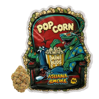 Bolsa de mini cogollos CBD Popcorn y cogollo real de Iguana Smoke de 15g con la iguana comiendo palomitas en el cine.