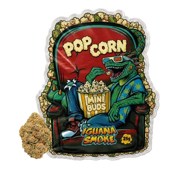 Bolsa de mini cogollos CBD Popcorn y cogollo real de Iguana Smoke de 25g con la iguana comiendo palomitas en el cine.