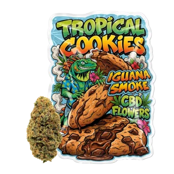 Tropical Cookies Flores de CBD de Iguana Smoke con la iguana y galletas de chocolate, junto a un cogollo de cáñamo.