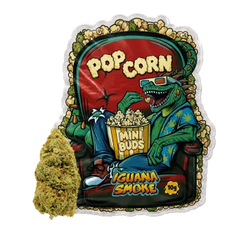 Bolsa de mini cogollos CBD Popcorn y cogollo real de Iguana Smoke de 10 g con la iguana comiendo palomitas en el cine.