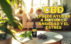 Persona relajándose en un entorno tranquilo con aceite de CBD sobre la mesa, imagen que representa el uso del cannabidiol para aliviar el estrés y la ansiedad.