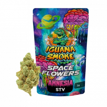Amnésie florale STV 20%