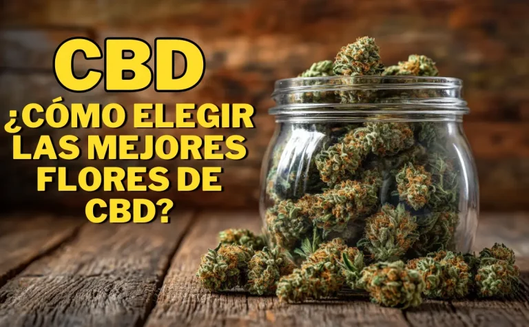 Escolher as melhores flores de CBD