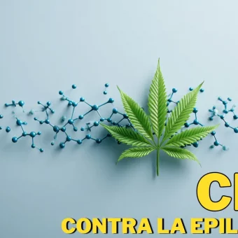 Hoja de cannabis junto a moléculas químicas que representan el cannabidiol (CBD) como alternativa en estudios científicos sobre epilepsia.