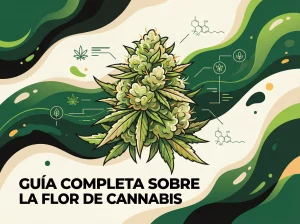 Ilustración de una flor de cannabis con gráficos de CBD, THC y terpenos sobre fondo verde
