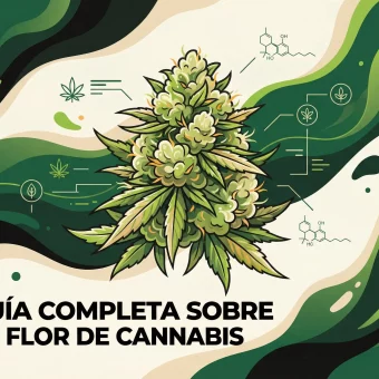 Ilustración de una flor de cannabis con gráficos de CBD, THC y terpenos sobre fondo verde