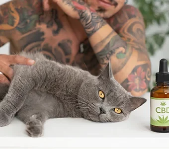 Cat with her owner and a bottle of CBD oil