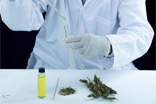 técnico de laboratorio haciendo test CBD