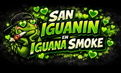 san iguanin es san valentin en iguana smoke