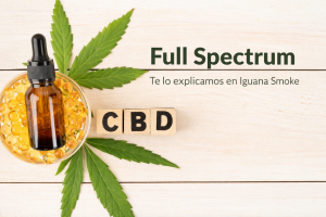 CBD Full Spectrum blog para entenderlo