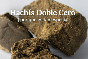 hachís doble cero abierto mostrando su textura dorada