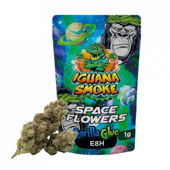 Flor Gorilla Glue E8H Space Flowers