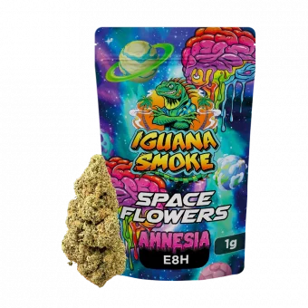 Flor Amnesia E8H Space Flowers