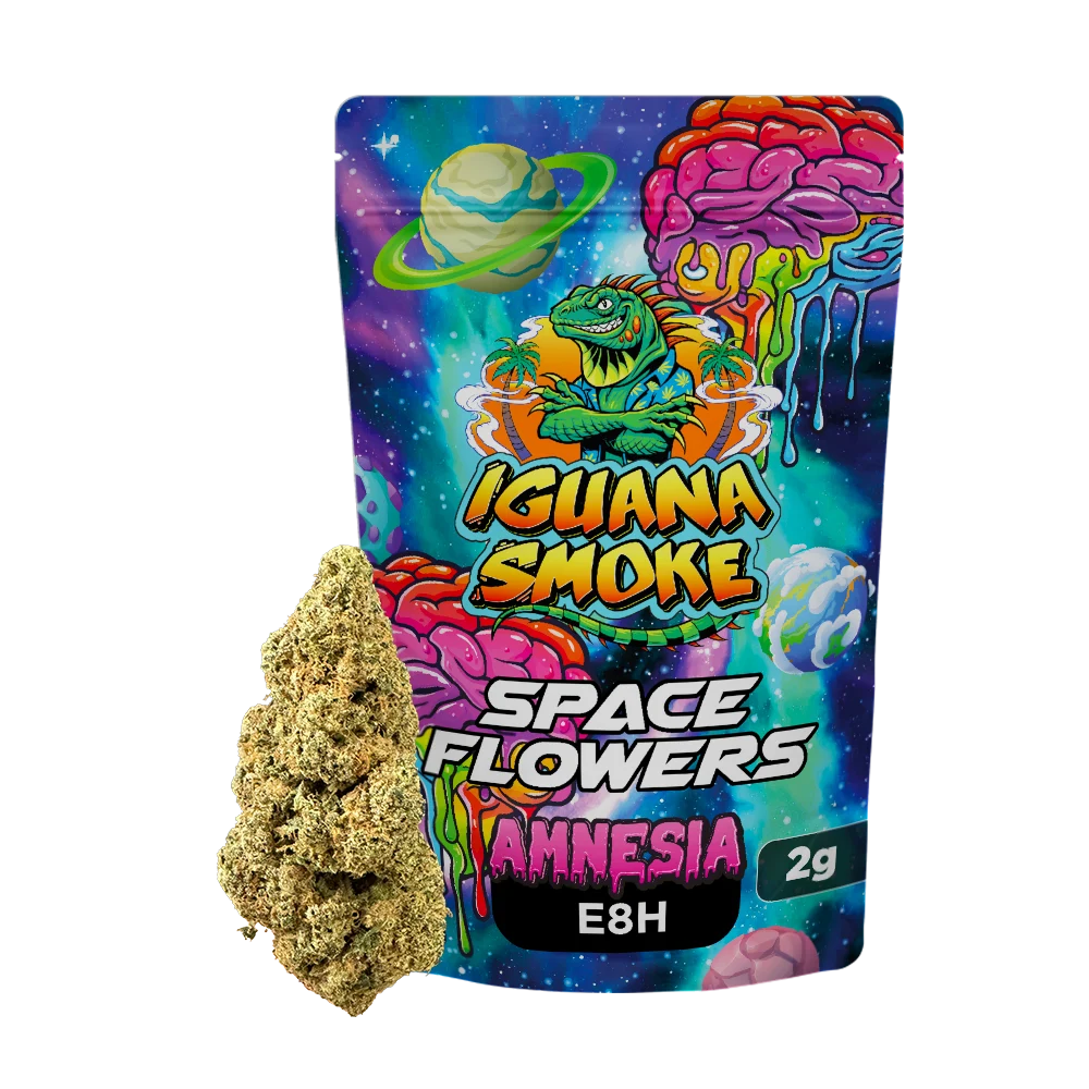 fiore e8h amnesia 2g