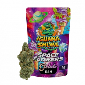 Flor Gelato E8H Space Flowers