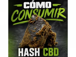 Existem várias formas de consumir hash de CBD. A escolha depende da preferência pessoal e do efeito desejado:*   **Vaporização:** Uma das formas mais populares e saudáveis. Aquece o hash a uma temperatura que liberta os canabinoides e terpenos sem combustão, inalando o vapor. Pode ser feito com um vaporizador dedicado para concentrados ou com um vaporizador de ervas com um método de introdução de concentrados.*   **Adição a alimentos (Edibles):** O hash pode ser descarboxilado (aquecido para ativar os compostos) e depois infundido em óleos (como azeite ou óleo de coco) ou manteiga, que podem ser usados em receitas.*   **Tinturas/Óleos:** Se o hash for dissolvido num óleo portador (como óleo MCT, semente de cânhamo, etc.), pode ser consumido sublingualmente (gotas debaixo da língua) para uma absorção mais rápida na corrente sanguínea.*   **Fumar (menos recomendado):** Embora possível, fumar hash envolve combustão, o que pode danificar alguns dos canabinoides e terpenos benéficos, além de ser prejudicial para os pulmões. Se optar por fumar, geralmente é misturado com tabaco ou outras ervas num cachimbo ou enrolado.*   **Tópicos:** Em alguns casos, extratos de CBD, que podem conter componentes do hash, são usados em bálsamos ou loções para aplicação tópica na pele. No entanto, o hash em si raramente é usado diretamente para aplicações tópicas.**Considerações Importantes:***   **Descarboxilação:** Para muitas formas de consumo, especialmente em edibles, é crucial descarboxilar o hash. Este processo ativa o CBD (que na sua forma natural é CBDa). Para descarboxilar, aqueça o hash num forno a uma temperatura controlada (geralmente entre 110-130°C) por um período de tempo específico (20-40 minutos).*   **Dosagem:** Comece sempre com uma dose baixa e aumente gradualmente até encontrar o efeito desejado. A potência do hash pode variar significativamente.*   **Qualidade e Origem:** Certifique-se de que está a comprar hash de CBD de fontes confiáveis e com testes laboratoriais que confirmem a sua pureza e teor de CBD.*   **Legislação Local:** Verifique as leis do seu país ou região relativas ao consumo de produtos de CBD.A vaporização e a adição a alimentos após descarboxilação são geralmente as formas mais recomendadas devido à eficiência e à menor produção de compostos nocivos.