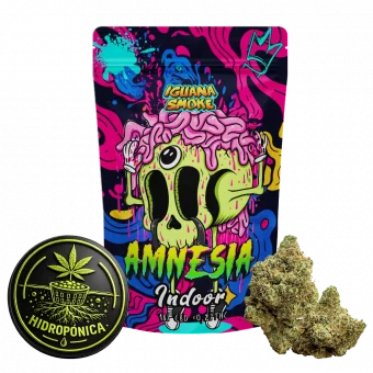 Flor CBD Amnésia Indoor Hidropónica, em bolsa (moeda e cogollo)