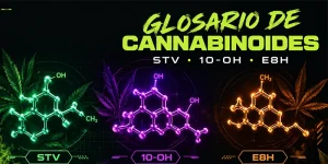 copertina del glossario dei cannabinoidi legali che vendiamo su Iguana Smoke