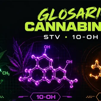 copertina del glossario dei cannabinoidi legali che vendiamo su Iguana Smoke