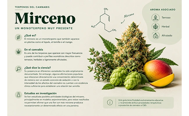 Mirceno, a cannabis terpene associated with earthy and herbal aromas